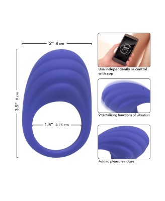 Calex Connect Couples Ring Purple