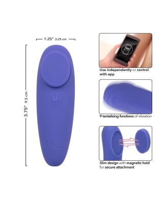 Calex Connect Panty Teaser Purple