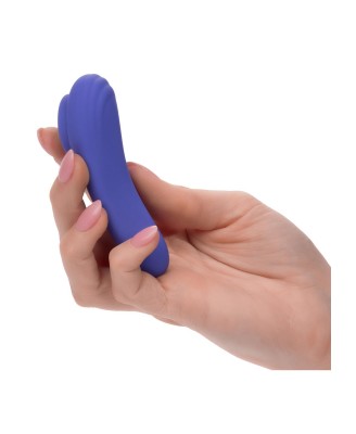 Calex Connect Panty Teaser Purple