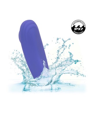 Calex Connect Panty Teaser Purple