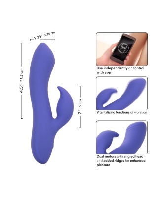 Calex Connect Dual Stimulator Purple