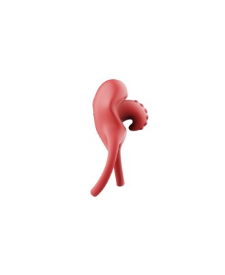 Dual Ring Tongue Vibe