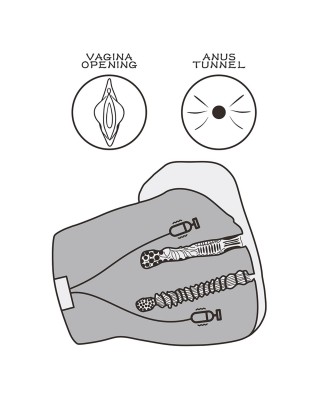 Streetgirl's Dual Motor Sensation Pulse
