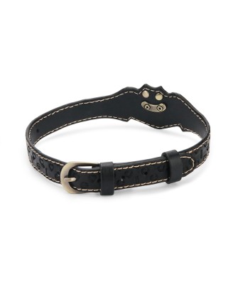 Rebellion Reign Bat Collar