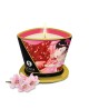 Shunga Massage Candle - Cherry Blossom