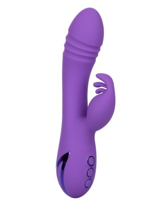 West Coast Wave Rider Purple