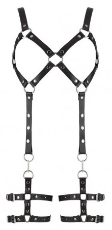 Leather Harness L/XL