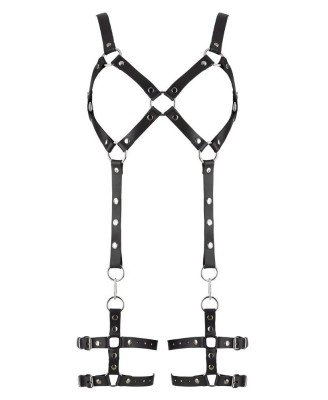 Leather Harness L/XL