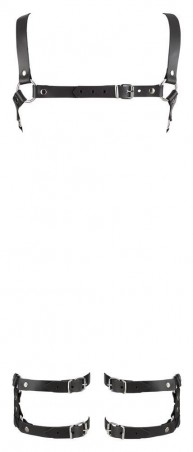 Leather Harness L/XL