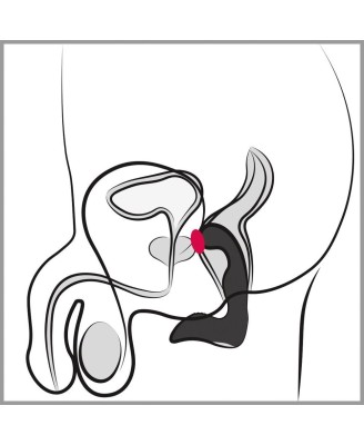 Rebel Prostate Plug recharge