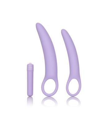 Isabelle Set of 2 Dilators Purple