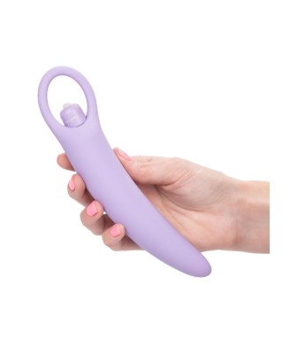 Isabelle Set of 2 Dilators Purple