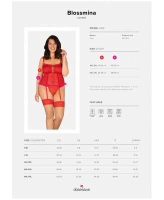 Bielizna-Blossmina gorset i stringi  4XL/5XL