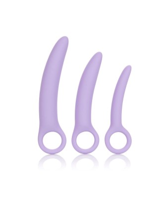 Alena Set of 3 Dilators Purple