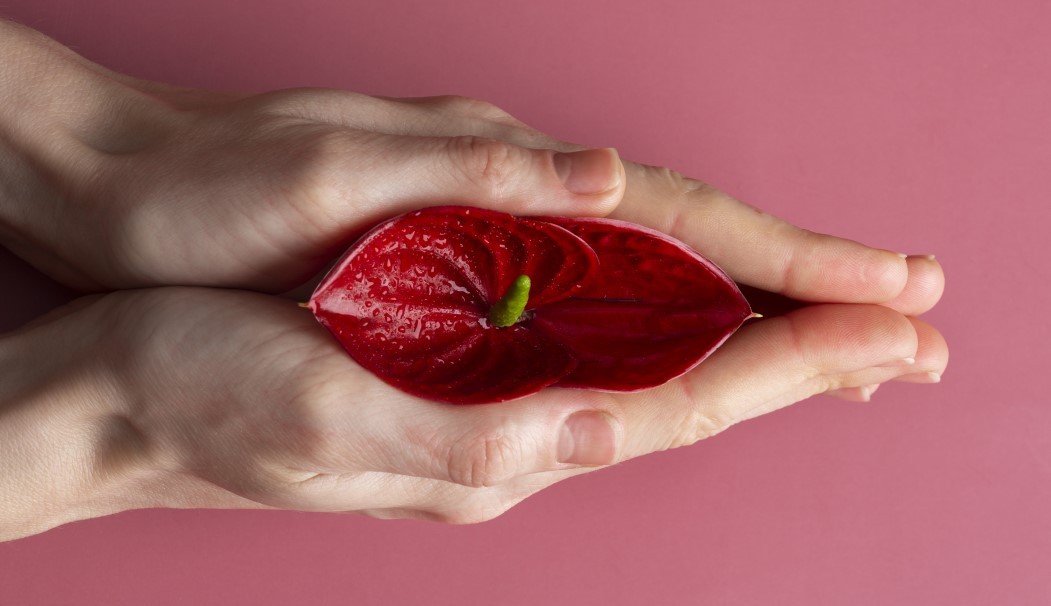 Kształty i rodzaje łechtaczek: anatomiczna różnorodność i jej znaczenie