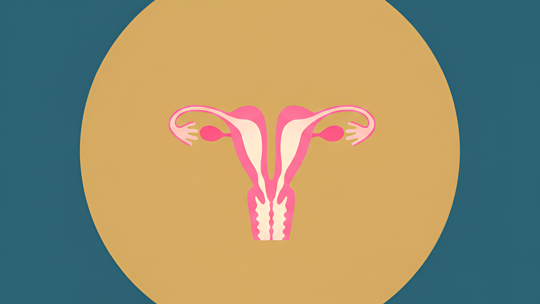 Podwójna macica – co to jest i objawy